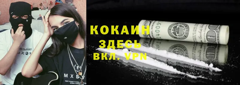 Cocaine Fish Scale  купить наркотик  Жуков 